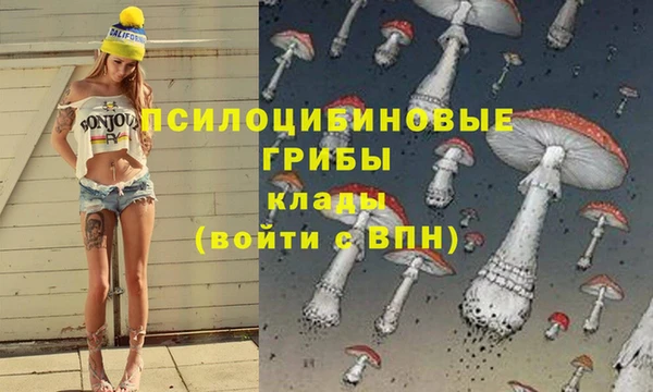 прущие крисы Алзамай