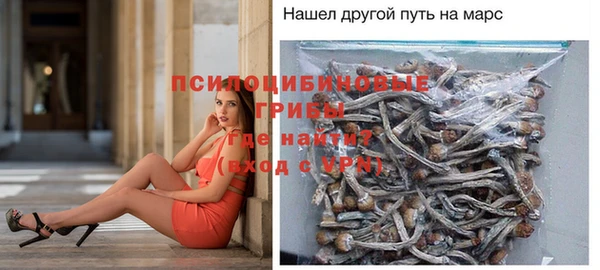 ПСИЛОЦИБИНОВЫЕ ГРИБЫ Алексин